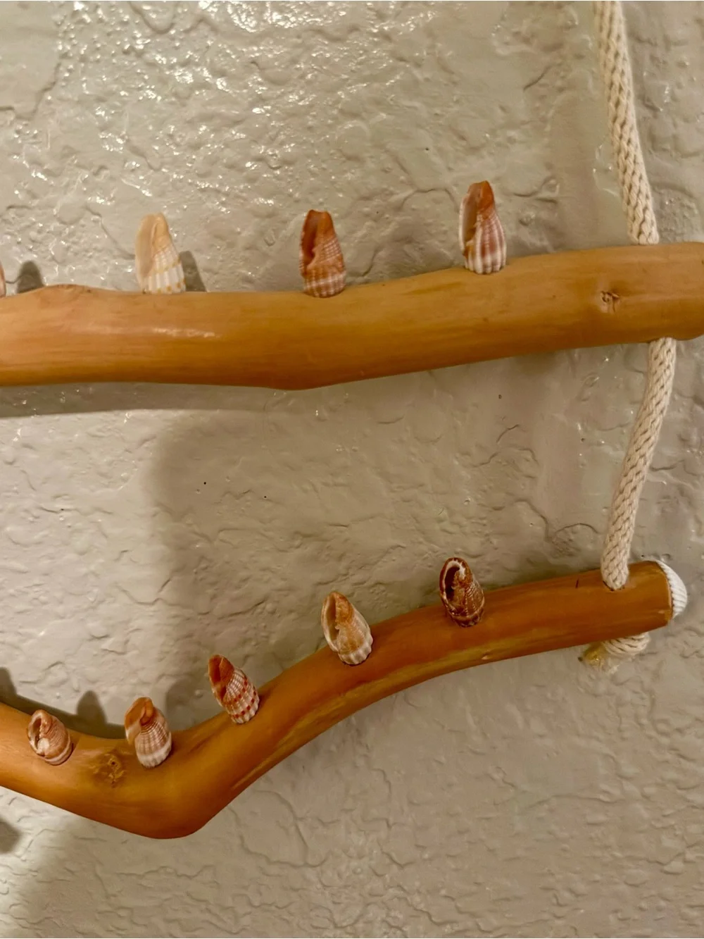 Driftwood And Rope Wall Hanging With Seashell Hooks For Jewelry